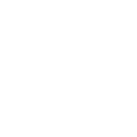 Magento Icon